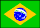 Brazilian Flag